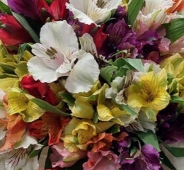 Альстромерия в ассортименте Альстромерия в ассортименте